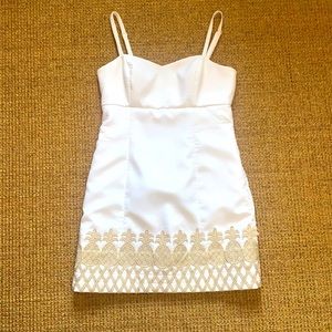 Lilly Pulitzer Resort Dress